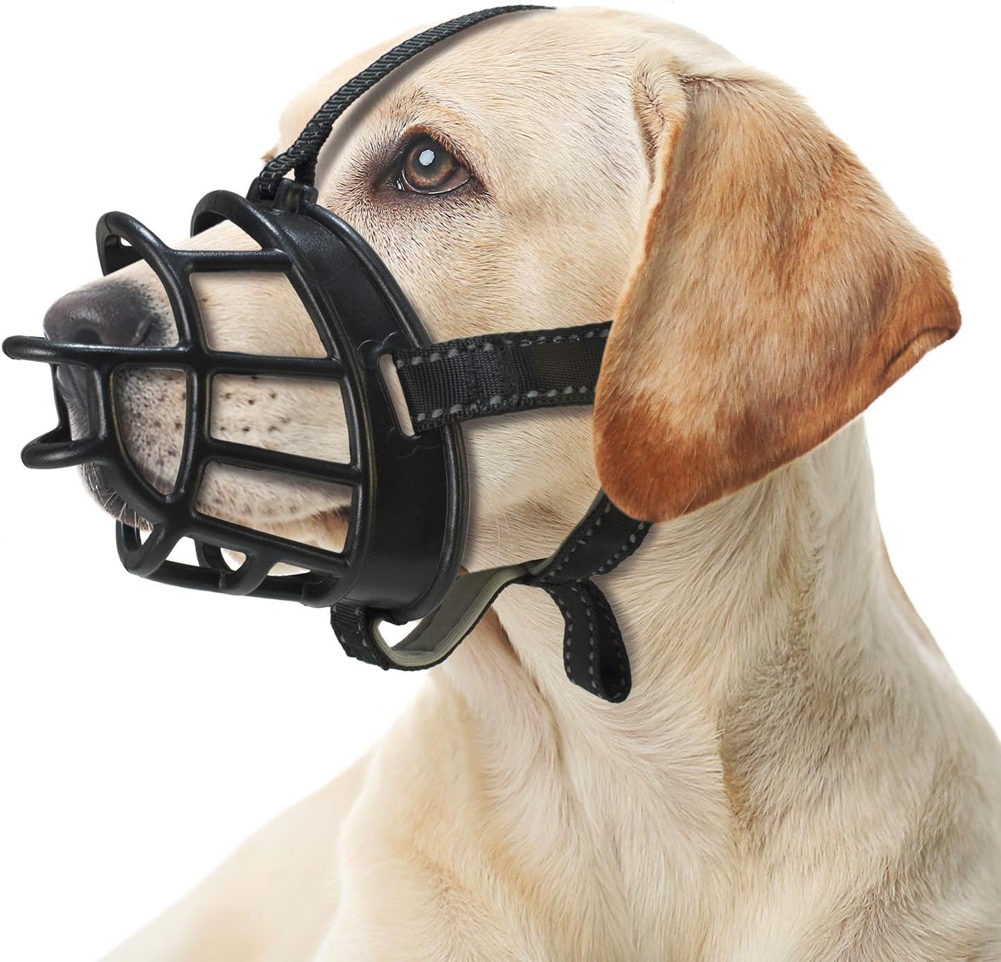 Bozal Flexible de Silicona Talla XXL para Perros Grandes - 10x33x47-61cm - Impide morder Pero Permite al Perro Beber y Tomar golosinas - Anti-mordeduras