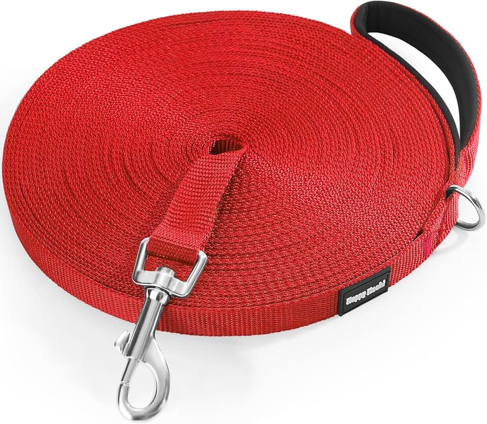 HACHI Correa Larga Perro 3 Metros, Correas Adiestramiento para Perros Nylon Larga Resistente para Entrenamiento Camping Paseo, Rojo